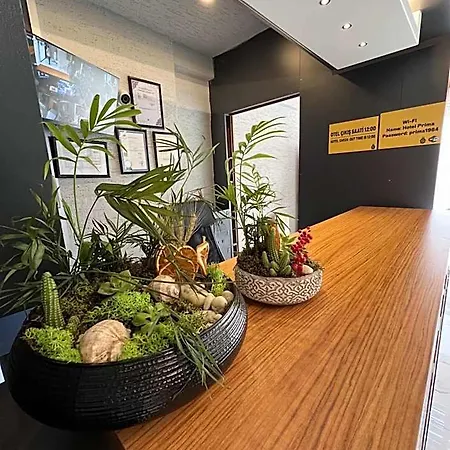 Hotel Prima 2*